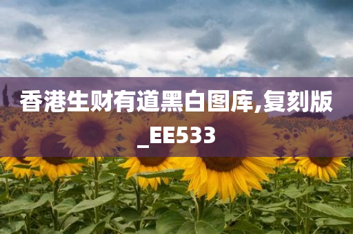 香港生财有道黑白图库,复刻版_EE533