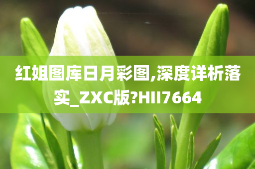 红姐图库日月彩图,深度详析落实_ZXC版?HII7664