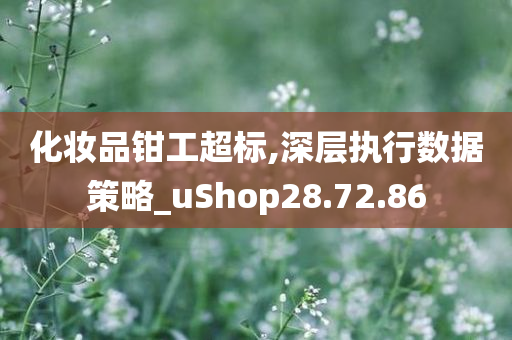 化妆品钳工超标,深层执行数据策略_uShop28.72.86