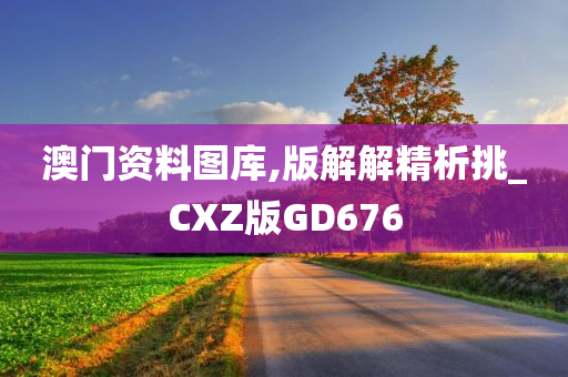 澳门资料图库,版解解精析挑_CXZ版GD676