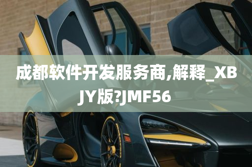 成都软件开发服务商,解释_XBJY版?JMF56