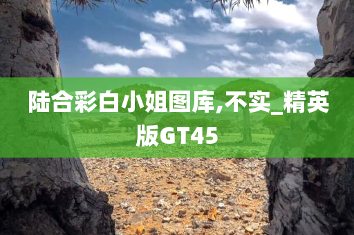 陆合彩白小姐图库,不实_精英版GT45