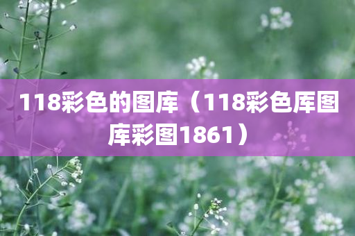 118彩色的图库（118彩色厍图库彩图1861）