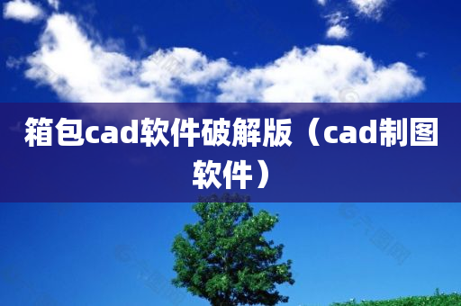 箱包cad软件破解版（cad制图软件）