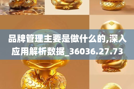 品牌管理主要是做什么的,深入应用解析数据_36036.27.73