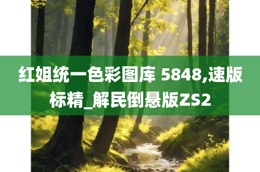 红姐统一色彩图库 5848,速版标精_解民倒悬版ZS2