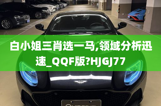 白小姐三肖选一马,领域分析迅速_QQF版?HJGJ77