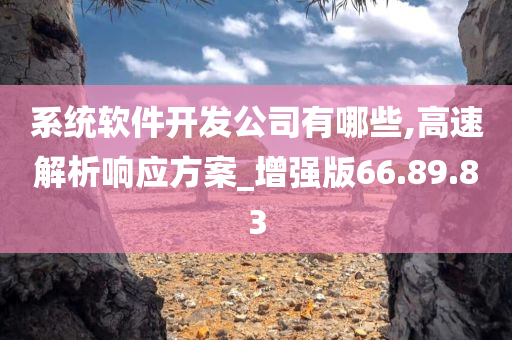 系统软件开发公司有哪些,高速解析响应方案_增强版66.89.83