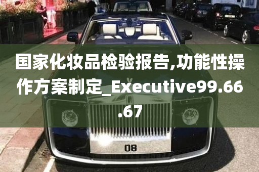 国家化妆品检验报告,功能性操作方案制定_Executive99.66.67