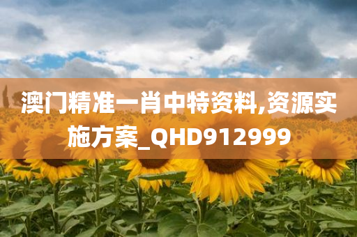 澳门精准一肖中特资料,资源实施方案_QHD912999