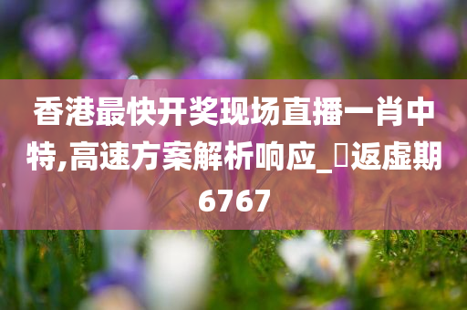 香港最快开奖现场直播一肖中特,高速方案解析响应_‌返虚期6767