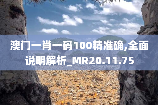 澳门一肖一码100精准确,全面说明解析_MR20.11.75