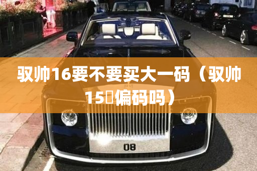 驭帅16要不要买大一码（驭帅15䨻偏码吗）