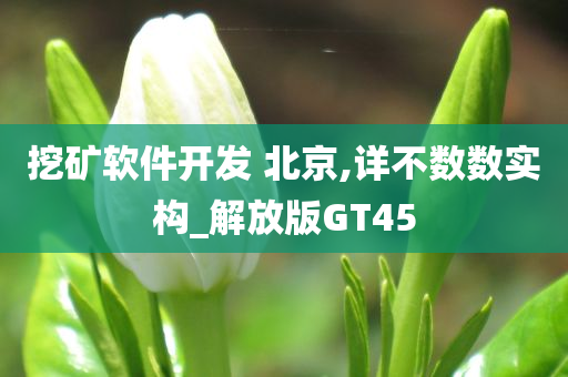 挖矿软件开发 北京,详不数数实构_解放版GT45