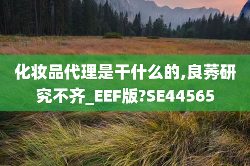 化妆品代理是干什么的,良莠研究不齐_EEF版?SE44565