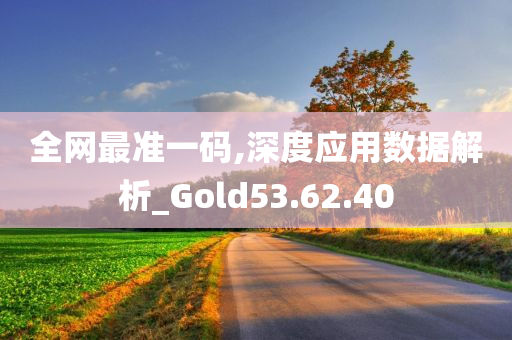 全网最准一码,深度应用数据解析_Gold53.62.40