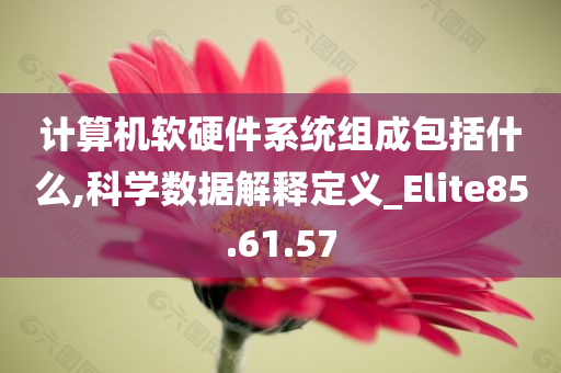 计算机软硬件系统组成包括什么,科学数据解释定义_Elite85.61.57