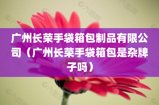 广州长荣手袋箱包制品有限公司（广州长荣手袋箱包是杂牌子吗）