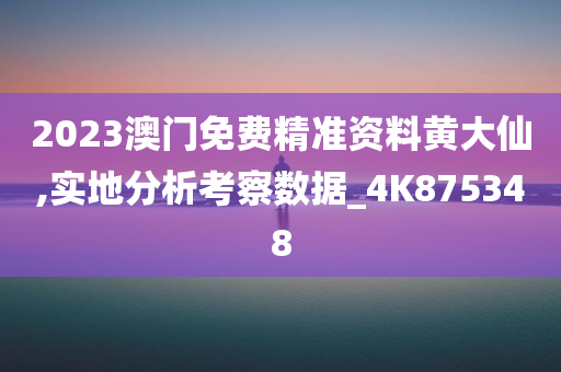 2023澳门免费精准资料黄大仙,实地分析考察数据_4K875348