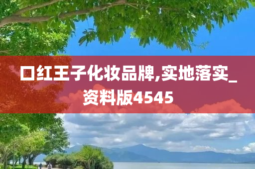 口红王子化妆品牌,实地落实_资料版4545