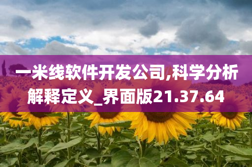 一米线软件开发公司,科学分析解释定义_界面版21.37.64