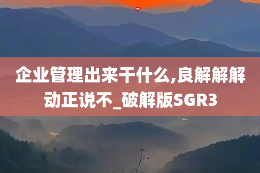 企业管理出来干什么,良解解解动正说不_破解版SGR3