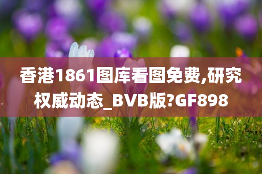 香港1861图库看图免费,研究权威动态_BVB版?GF898