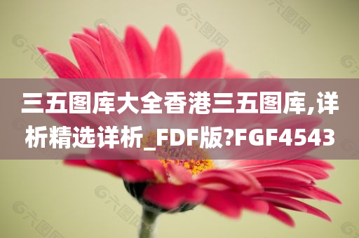 三五图库大全香港三五图库,详析精选详析_FDF版?FGF4543