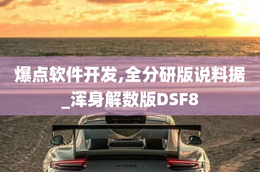 爆点软件开发,全分研版说料据_浑身解数版DSF8