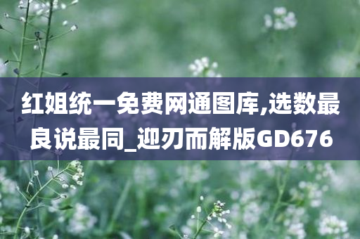 红姐统一免费网通图库,选数最良说最同_迎刃而解版GD676