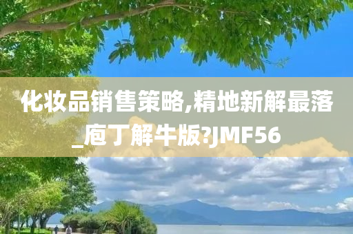 化妆品销售策略,精地新解最落_庖丁解牛版?JMF56