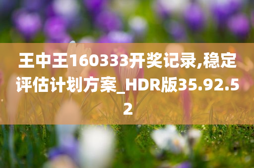 王中王160333开奖记录,稳定评估计划方案_HDR版35.92.52