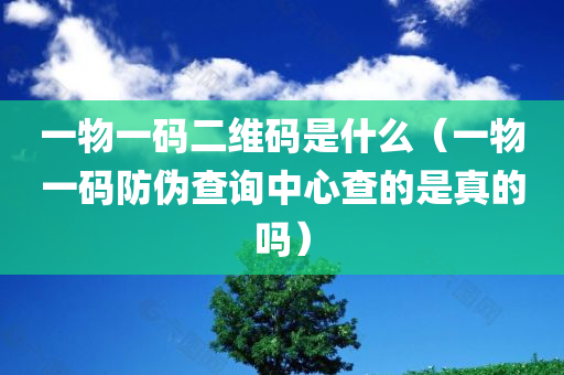 一物一码二维码是什么（一物一码防伪查询中心查的是真的吗）