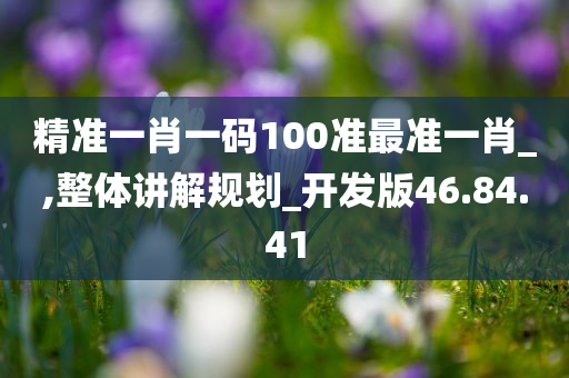 精准一肖一码100准最准一肖_,整体讲解规划_开发版46.84.41