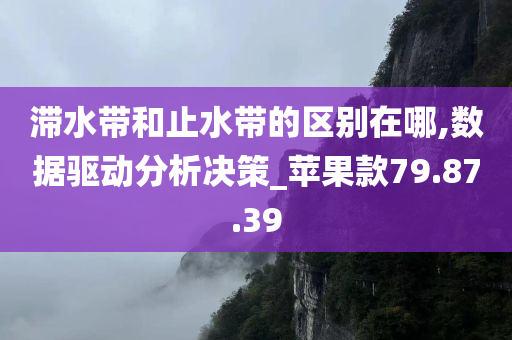 滞水带和止水带的区别在哪,数据驱动分析决策_苹果款79.87.39