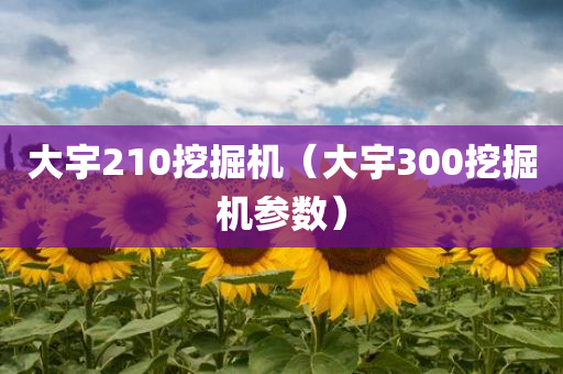 大宇210挖掘机（大宇300挖掘机参数）