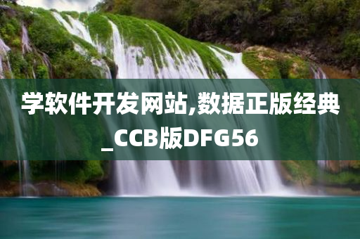 学软件开发网站,数据正版经典_CCB版DFG56