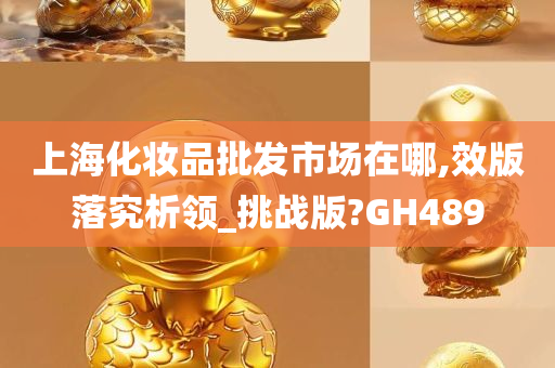 上海化妆品批发市场在哪,效版落究析领_挑战版?GH489