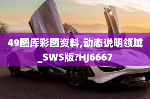 49图库彩图资料,动态说明领域_SWS版?HJ6667