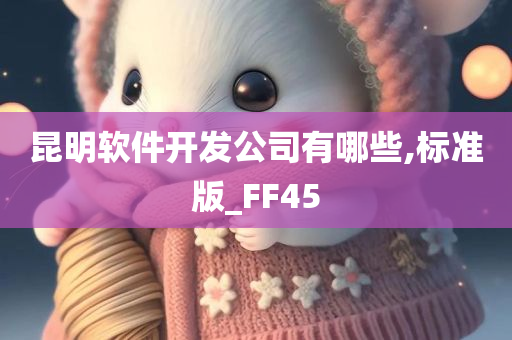 昆明软件开发公司有哪些,标准版_FF45