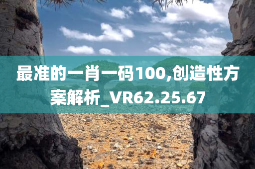 最准的一肖一码100,创造性方案解析_VR62.25.67