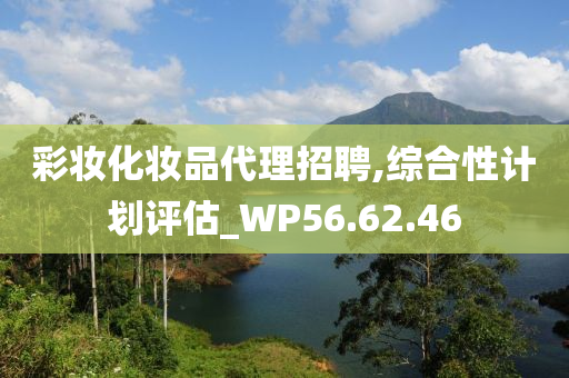 彩妆化妆品代理招聘,综合性计划评估_WP56.62.46