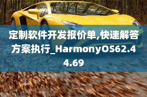 定制软件开发报价单,快速解答方案执行_HarmonyOS62.44.69