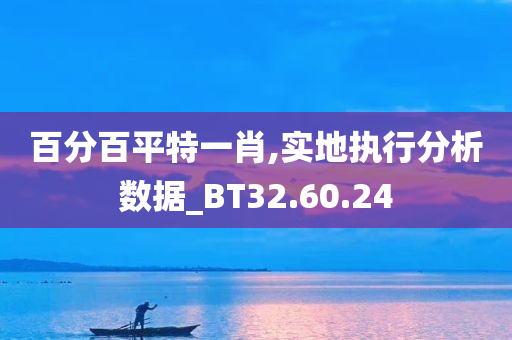 百分百平特一肖,实地执行分析数据_BT32.60.24