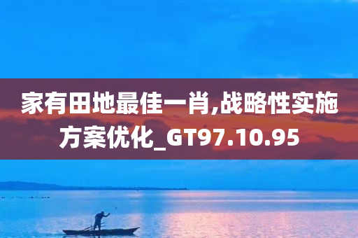 家有田地最佳一肖,战略性实施方案优化_GT97.10.95