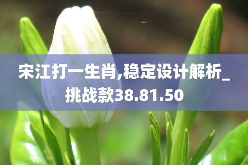 宋江打一生肖,稳定设计解析_挑战款38.81.50