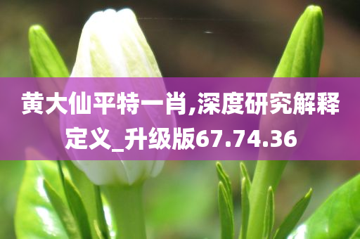 黄大仙平特一肖,深度研究解释定义_升级版67.74.36