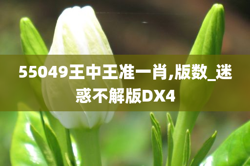 55049王中王准一肖,版数_迷惑不解版DX4