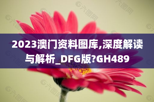 2023澳门资料图库,深度解读与解析_DFG版?GH489