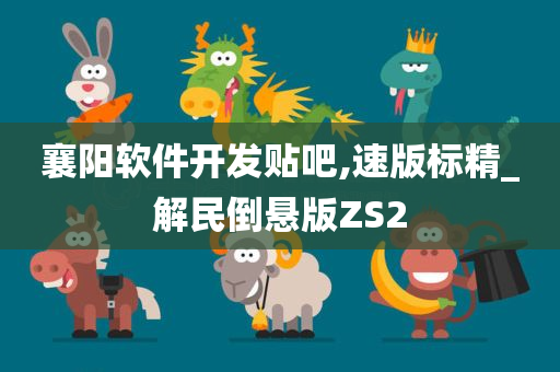 襄阳软件开发贴吧,速版标精_解民倒悬版ZS2